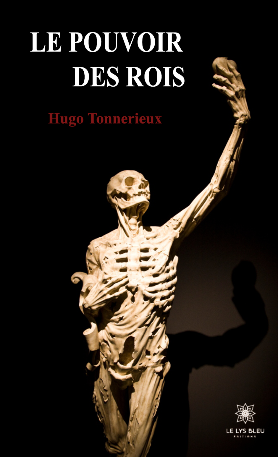 Le Pouvoir des Rois